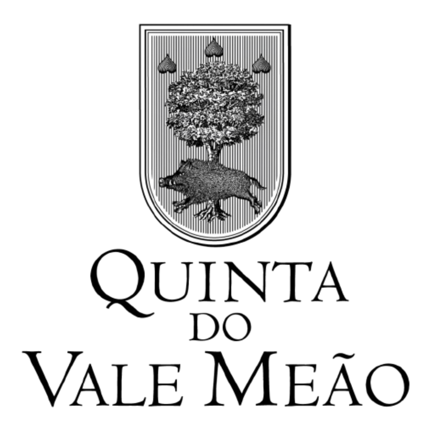 QUINTA DO VALE MEÂO